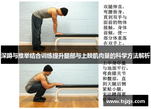深蹲与推举结合训练提升腿部与上肢肌肉量的科学方法解析