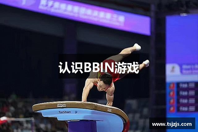 认识BBIN游戏
